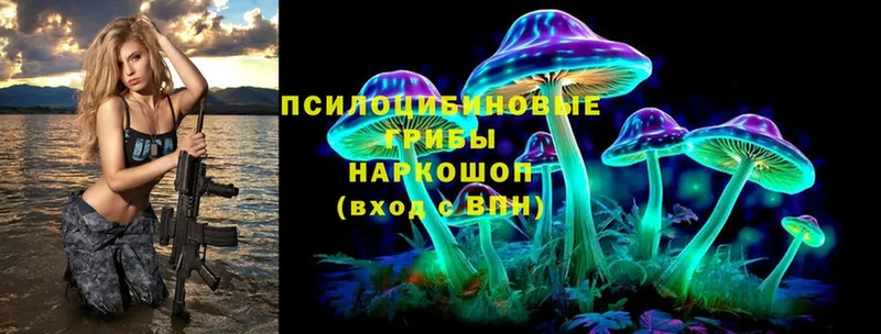 Псилоцибиновые грибы MAGIC MUSHROOMS  Володарск 